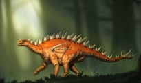 w04-93516Bashanosaurus